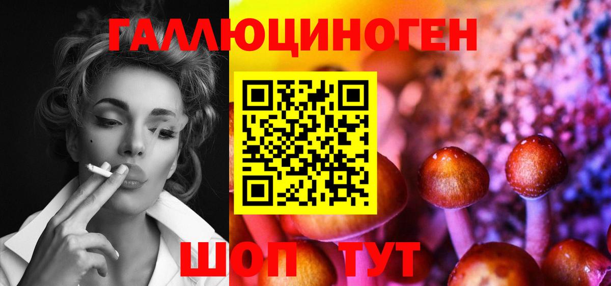 Тулун  Псилоцибиновые грибы мицелий  Вход с VPN 