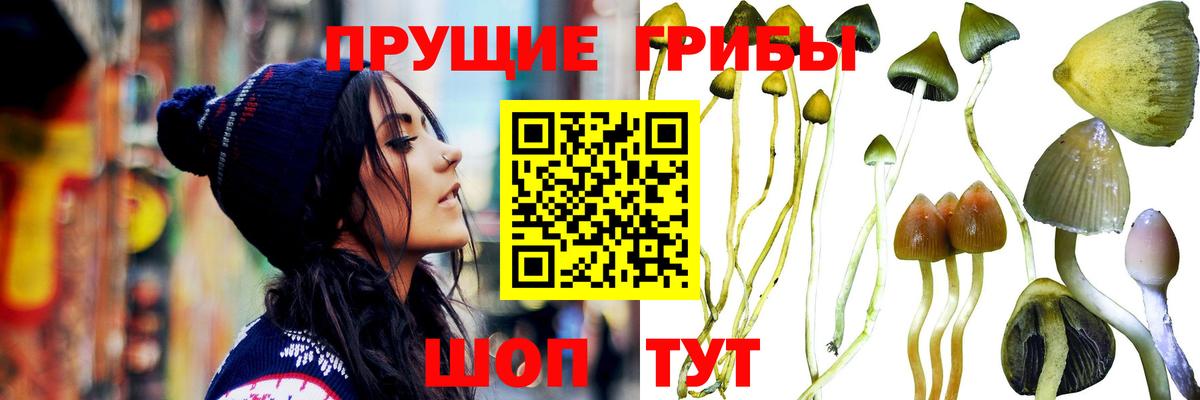 Галлюциногенные грибы мухоморы Тулун