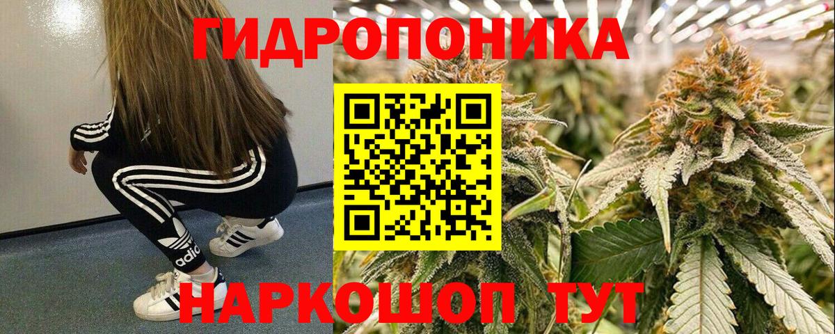 Бошки марихуана OG Kush  Вход с VPN  Тулун  МАРИХУАНА тримм 